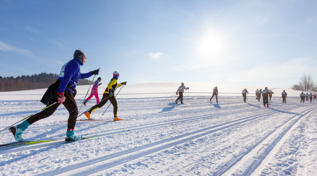 Estonian Health Trails